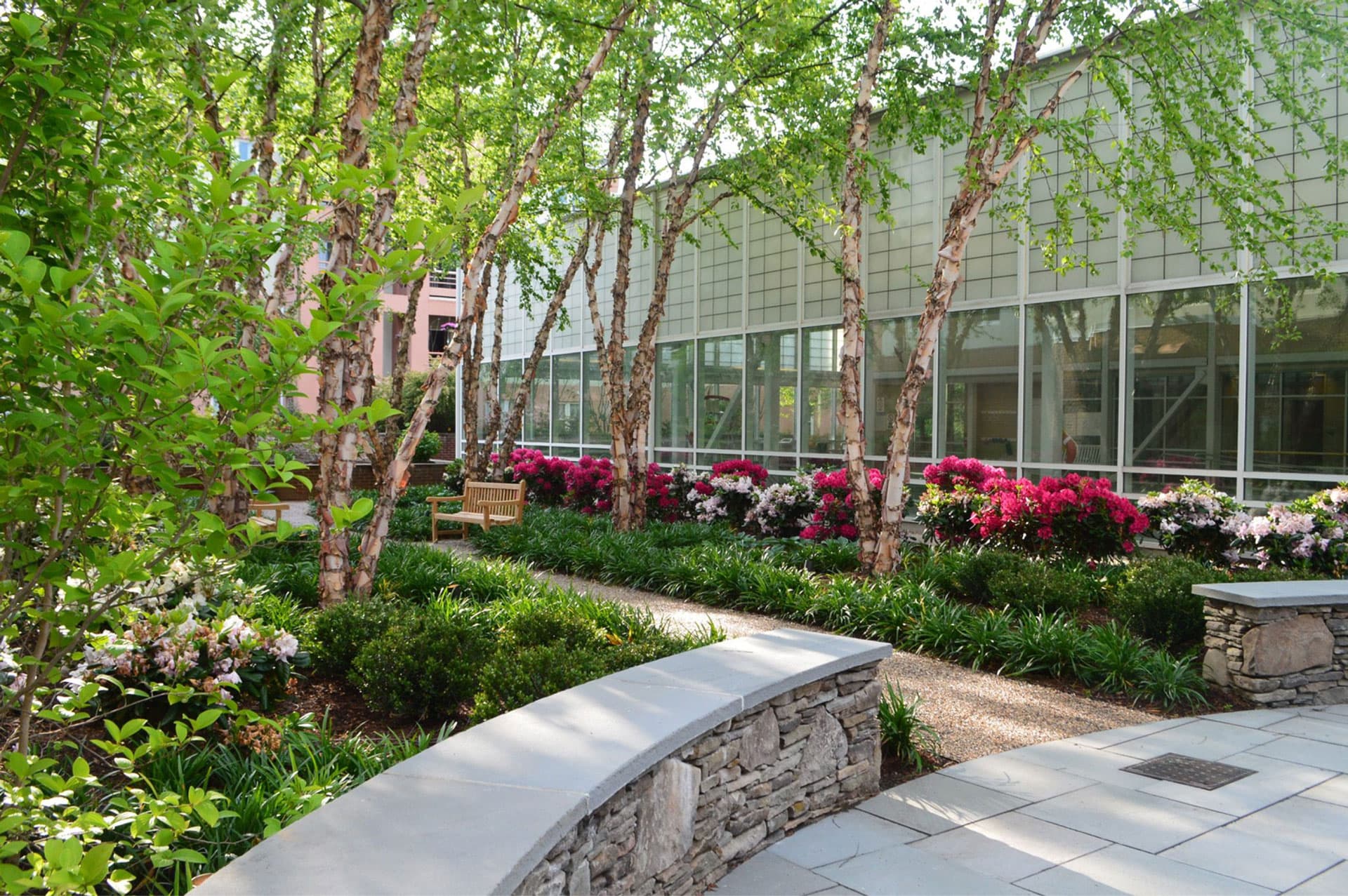 Duncaster exterior nature walk